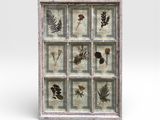 a close up of a picture of a window with plants in it