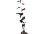 an image of a metal sculpture of a flower with a butterfly on it