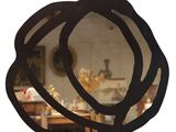 a mirror that has a picture of a flower on it