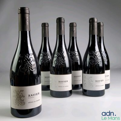 six bouteilles de vin sont alignées sur une table