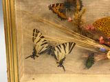 une photo représentant un tableau avec des papillons, dans un cadre