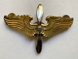 an image of a close up of a gold bird on a white background