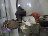 a display case with various items in it