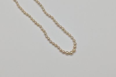 gros plan d'un collier de perles sur une surface blanche