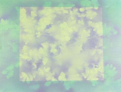 a picture of a picture of leaves in a square