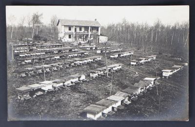 une photo en noir et blanc d'une ferme avec une maison en arrière-plan