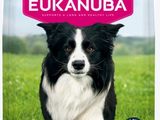 eukanuba adult large breed dog food