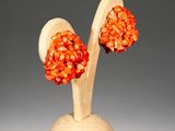 pair of orange beaded earrings on a wooden stand against a gray background