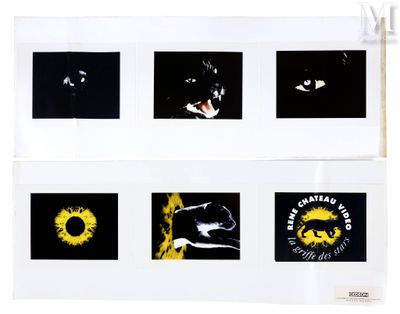 plusieurs photos en noir et blanc représentant un chat, un chien, un tournesol et un chat