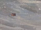 a bird that is sitting in the middle of a skateboard ramp
