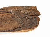 close up of a piece of wood that has been cut in half