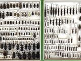 many different kinds of knives displayed in a display case