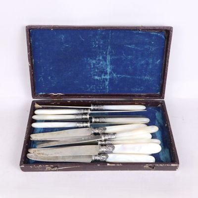 cinq couteaux dans une boîte avec un étui bleu