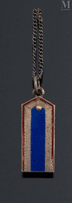 a picture of a medal with a blue and red stripe on it