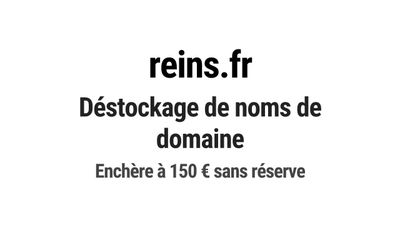 Nom de domaine reins.fr. Catégorie: Santé et médical.