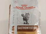 Royal Canin Gastro-Oesophagien, aliments pour chats contre les boules de poils