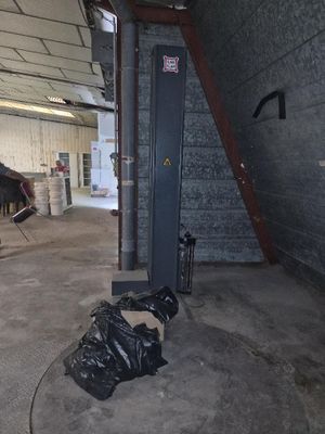 un cheval qui se trouve à l'intérieur d'un bâtiment