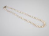 un collier composé d'un seul rang de perles, muni d'un fermoir en or