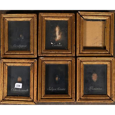 six framed pictures of a woman ' s face and a man ' s face
