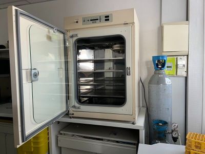 un four blanc ouvert dans une pièce