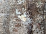 a close up of a painting of a man ' s face on a wall