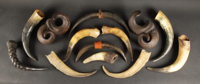 many different types of horns that are on the table