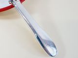 a silver spoon with a spoon rest on a white plate