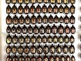 a lot of beetles that are hanging on the wall