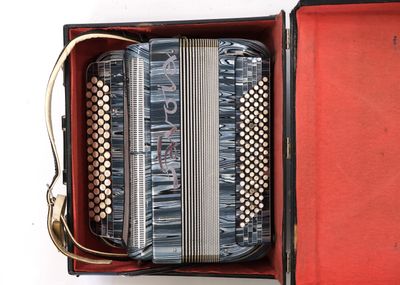 un accordéon dans un étui rouge sur fond blanc