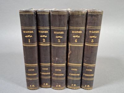 six vieux livres sont alignés sur une surface blanche