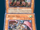 two cards of the same type of card are on display