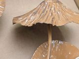 two ceramic mushrooms that are sitting on top of a box