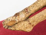 a piece of wood that is sitting on a red chair