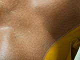 a close up view of a brown bag with a yellow handle