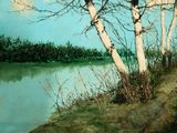 a painting of a tree by the water with no leaves on it