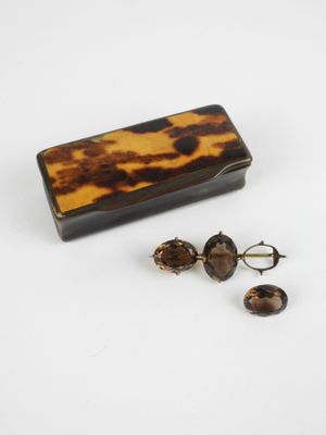 une paire de boucles d'oreilles en écaille de tortue et un étui en écaille de tortue