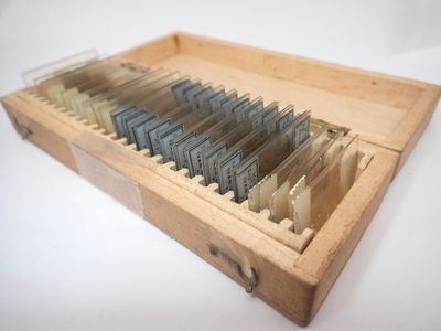 une image représentant une boîte en bois remplie d'une multitude de dossiers de toutes sortes