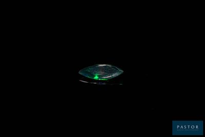 an image of a green leaf in the dark