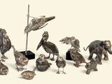 beaucoup d'oiseaux rassemblés en groupe