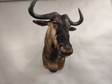 a statue of a bull with large horns on a white surface
