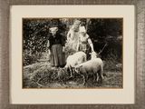 a picture of a group of people with sheep in a field