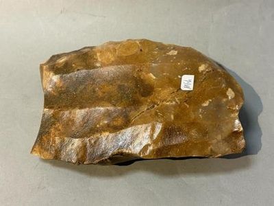 a close up of a rock with a tag on it