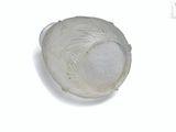 an image of a white bowl with a leaf design on it