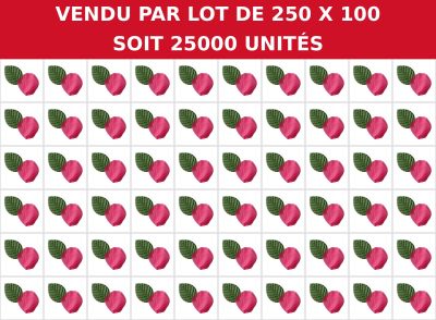 vendu par lot de 25 x 100 soi 2500 unites
