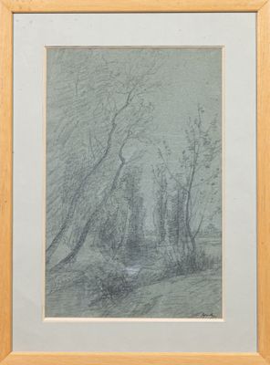 une image représentant un dessin d'arbres dans une forêt au bord d'une rivière