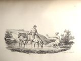 a drawing of a man and a woman riding horses
