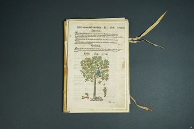 Réunion de 8 feuillets de sciences naturelles, avec gravures…