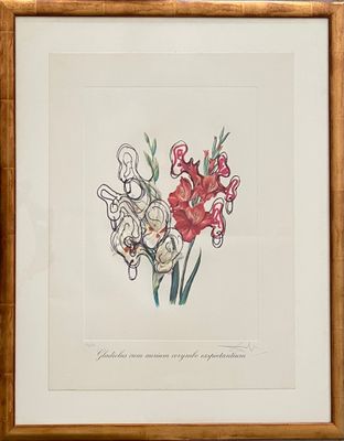 Salvador Dali - Gladiolus cum aurium corymbo exspectantium