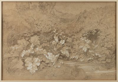 an image of a drawing of flowers in a garden