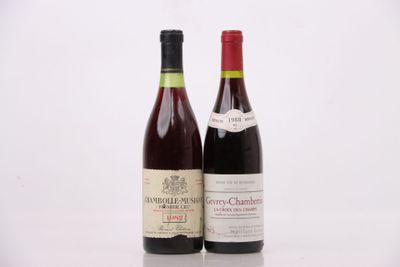 deux bouteilles de vin posées l'une à côté de l'autre sur une surface blanche